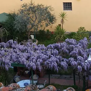 La Tinaia Apartment Florenz