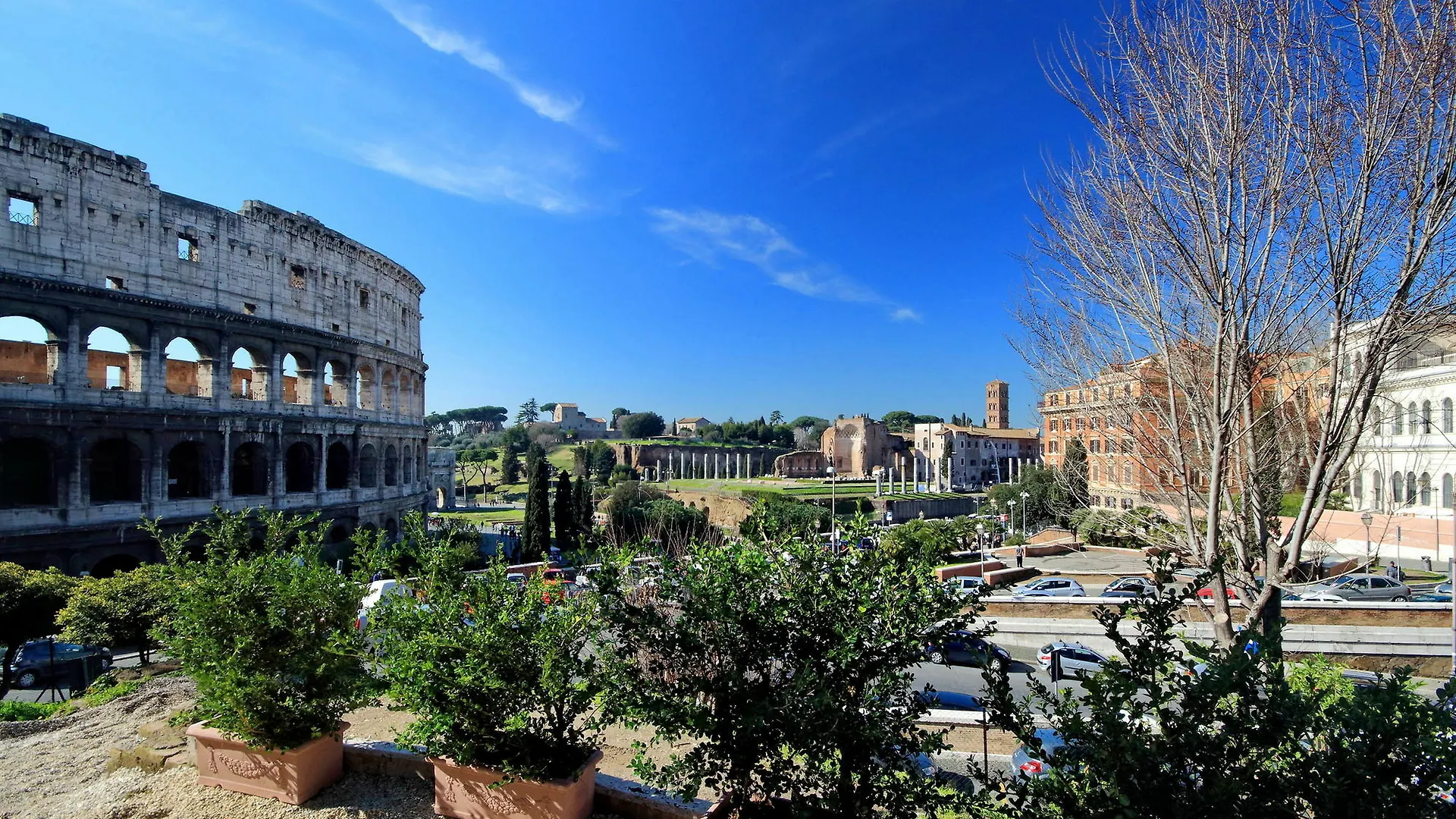 Top Floor Colosseo Guesthouse Rome